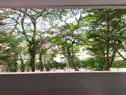 Blk 336 Woodlands Avenue 1 (Woodlands), HDB 4 Rooms #565772331